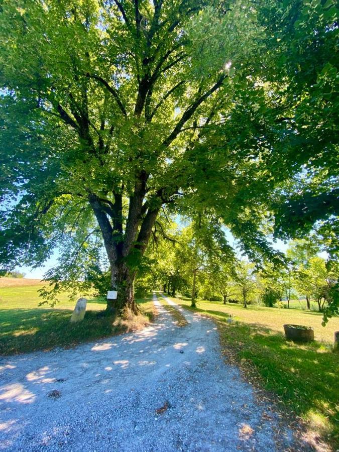 Gite De L'Edelinie Nanteuil-Auriac-de-Bourzac Экстерьер фото